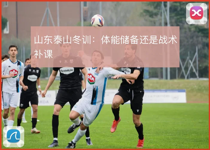 山东泰山冬训:体能储备还是战术补课