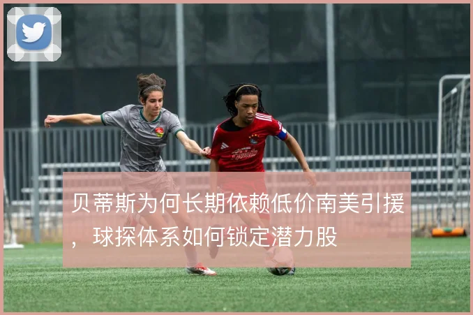 贝蒂斯为何长期依赖低价南美引援,球探体系如何锁定潜力股
